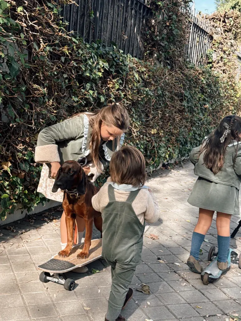 Peto pana verde largo
