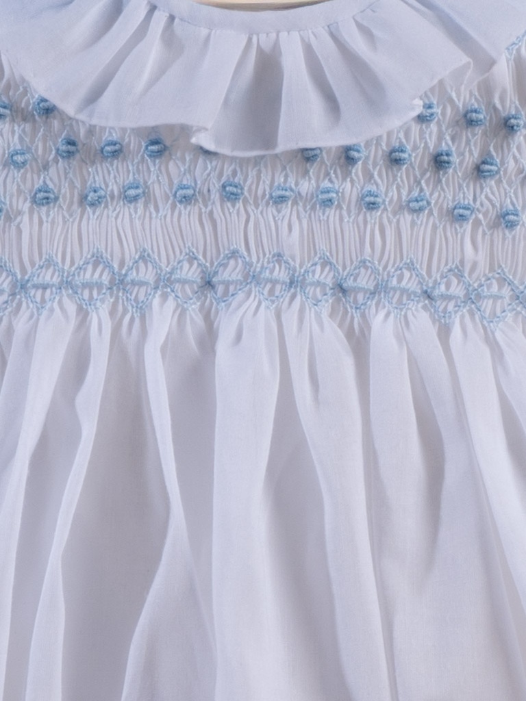 Ranita nidos mare | Celeste